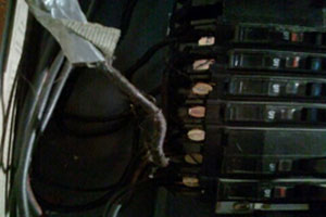 Duct tape in electrical panel