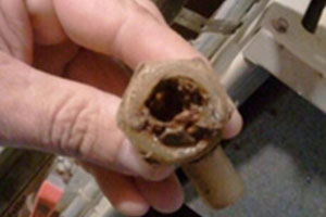 Missing electrical cover
