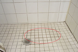Standing Water in shower